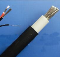 WDZ-DCK，WDZ-DCKP-125，DCEVM機車電纜